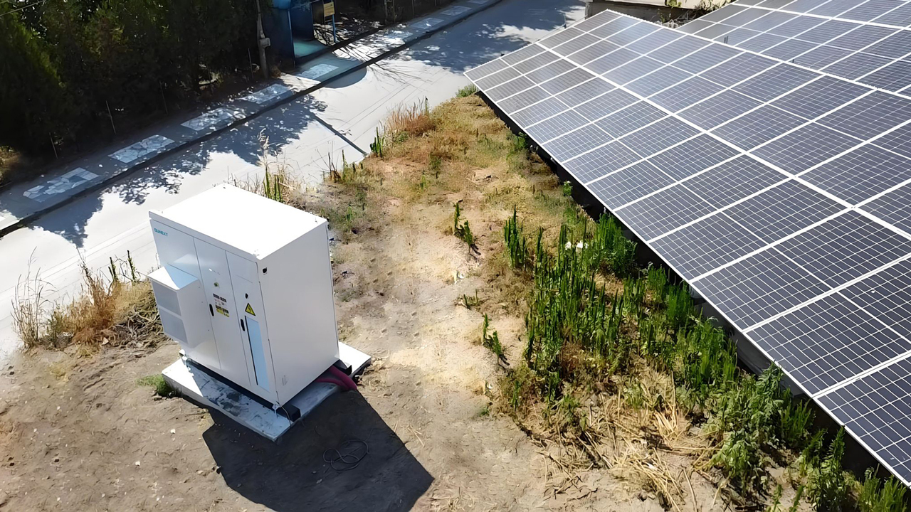 Bulgaria Hillside Plant Project