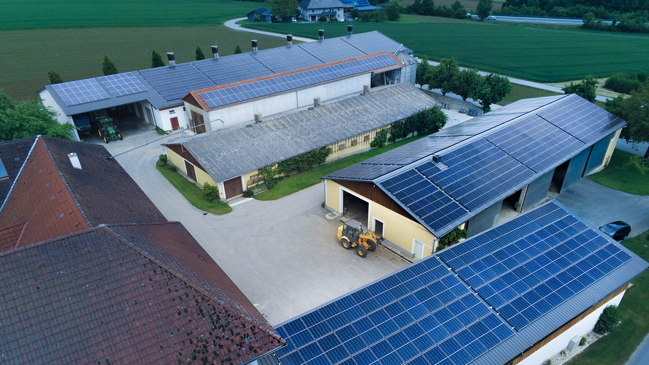 Chicken Farm Project